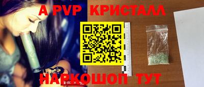 спайс Малгобек